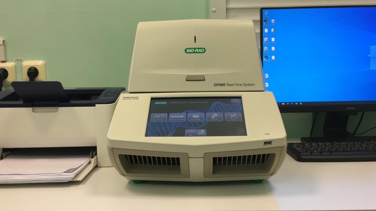 Новый термоциклический амплификатор CFX 96